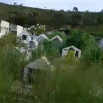 Untitled FOTO SITE 14