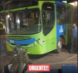 Untitled FOTO SITE 15