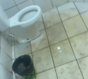 Untitled FOTO SITE1 16