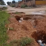 Untitled FOTO SITE1 3