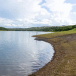 Untitled FOTO SITE1 5