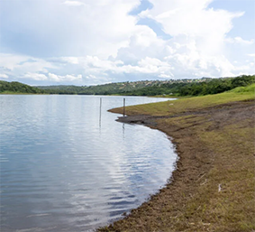 Untitled FOTO SITE1 5